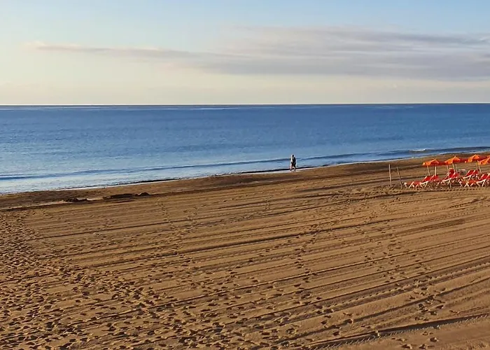 Jardin Centrico Playa Ingles *